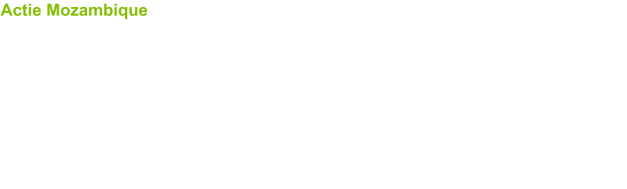 Actie Mozambique  Steun aan weeshuisprojecten in Maputo. Tijdens de kunstroute wordt voor de 21ste keer een actie opgezet ten voordele van Mozambique,   Een deel van de opbrengst uit verkopen van kunstwerken en persoonlijke financi�le bijdragen werden de vorige jaren ingezameld en doorgestort naar weeshuisprojecten in Mozambique. In 2025 werd hievoor 12.000 � ingezameld. Sedert 2005 hebben diverse acties zoals de kunstroute, eindejaar voorstellingen en andere steunacties, in totaal  146.002 � opgebracht.  We zijn dan ook bijzonder fier en gelukkig dat we hiermee ons steentje konden bijdragen om kinderen, die het moeilijker hebben in onze hedendaagse wereld, iets m��r toekomst te brengen.  Ook dit jaar wordt deze actie verder gezet: alle deelnemende kunstenaars zullen bij verkoop een deel van de verkoopprijs afstaan ten voordele van het project.   Ook persoonlijke bijdragen zijn uiteraard welkom en kunnen eventueel gestort worden op de rekening van OOkunst : BE69 7380-0771-7178 tav OOkunst vzw, met vermelding "bijdrage weeshuisproject Mozambique".